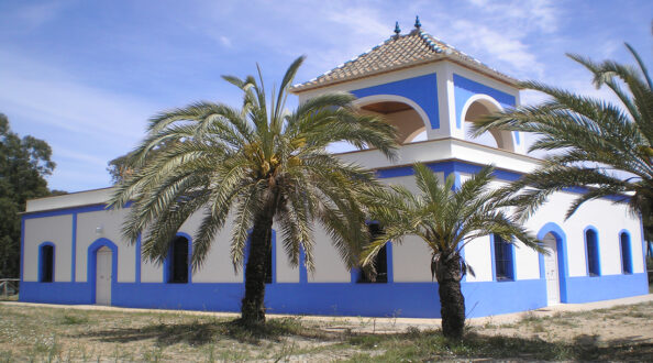 OLYMPUS DIGITAL CAMERA OLYMPUS DIGITAL CAMERA