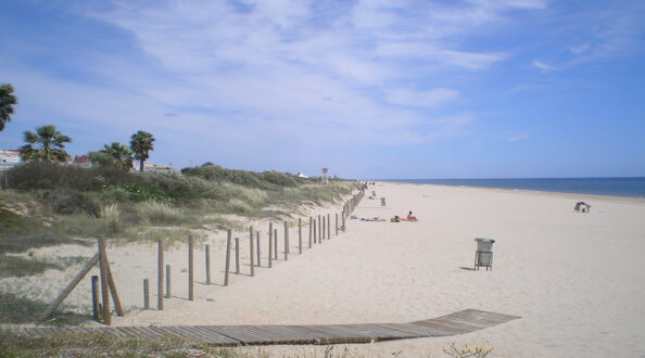 OLYMPUS DIGITAL CAMERA OLYMPUS DIGITAL CAMERA