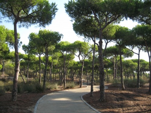 isla_cristina_ruta_camaleon