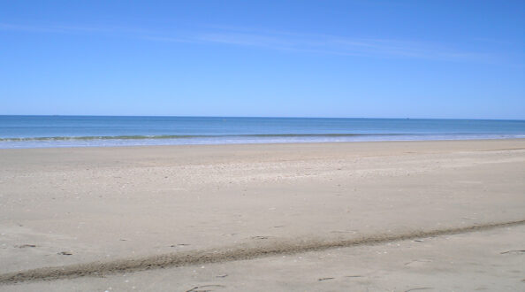 OLYMPUS DIGITAL CAMERA OLYMPUS DIGITAL CAMERA