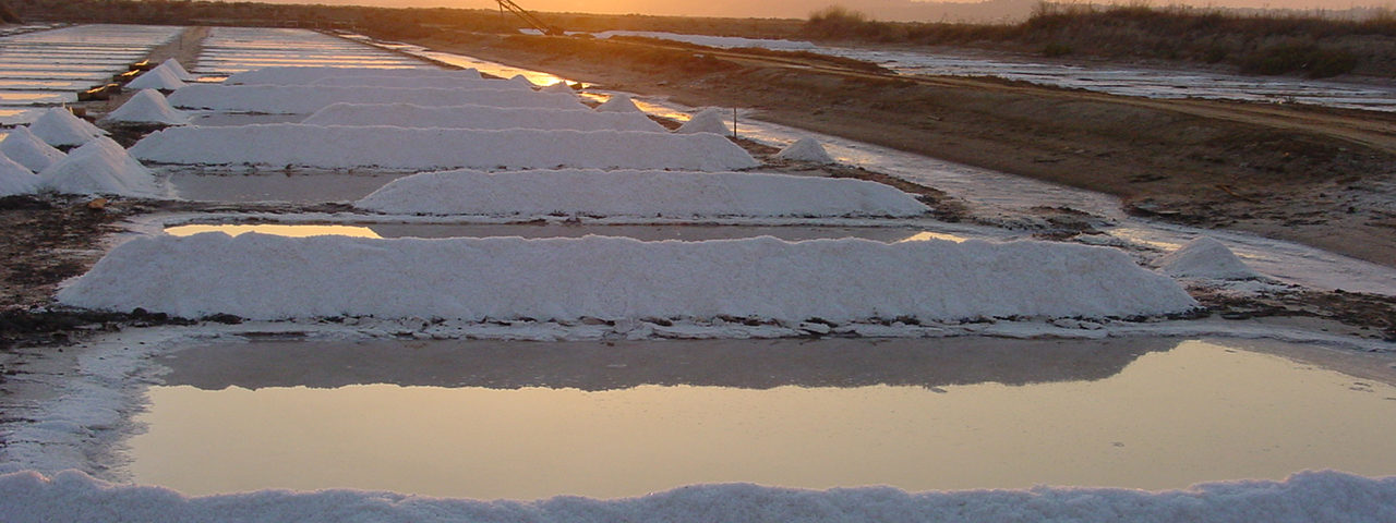 Salinas