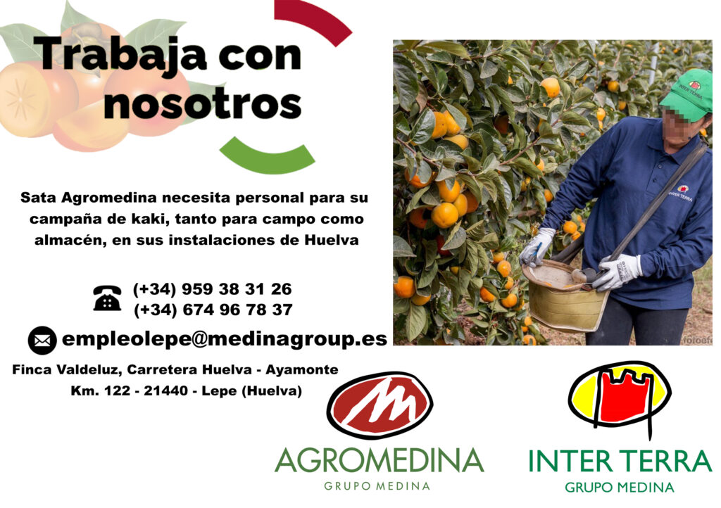 AGROMEDINA NECESITA PERSONAL PARA SU CAMPAÑA DE KAKI