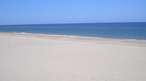 OLYMPUS DIGITAL CAMERA OLYMPUS DIGITAL CAMERA